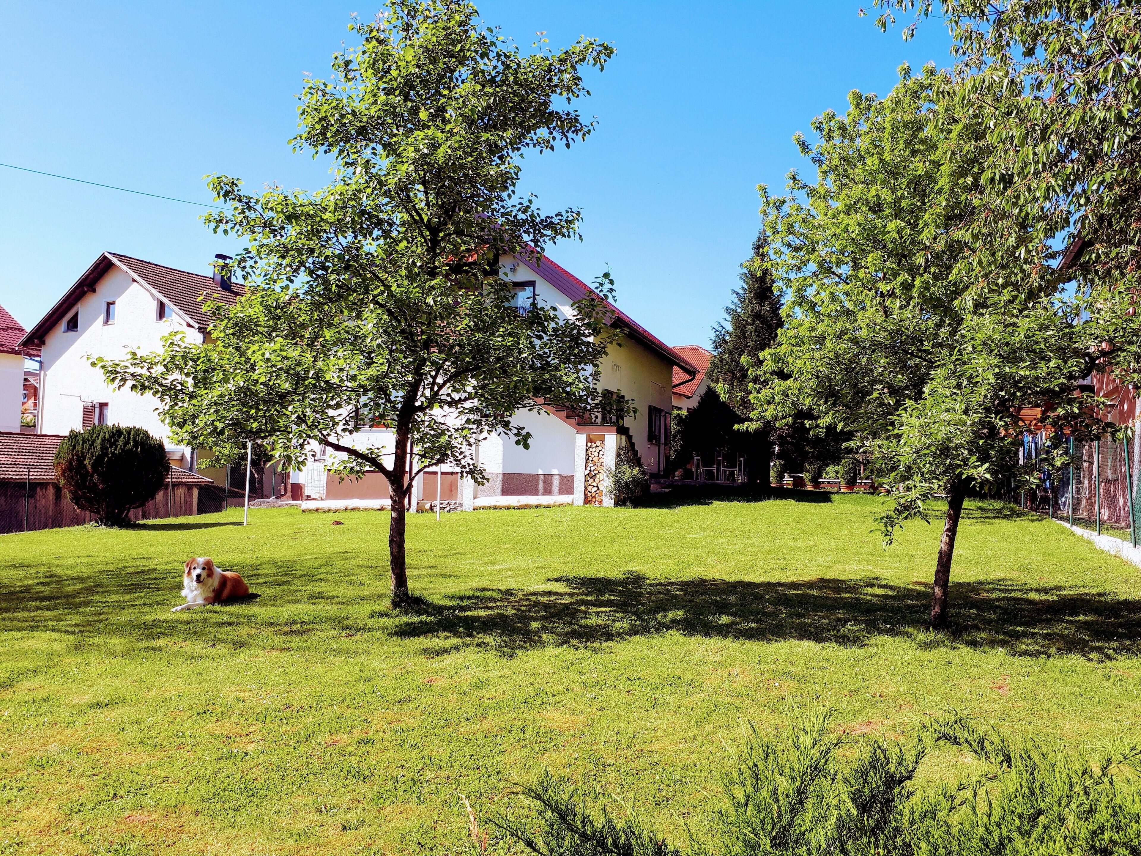 Enceinte de l’hébergement