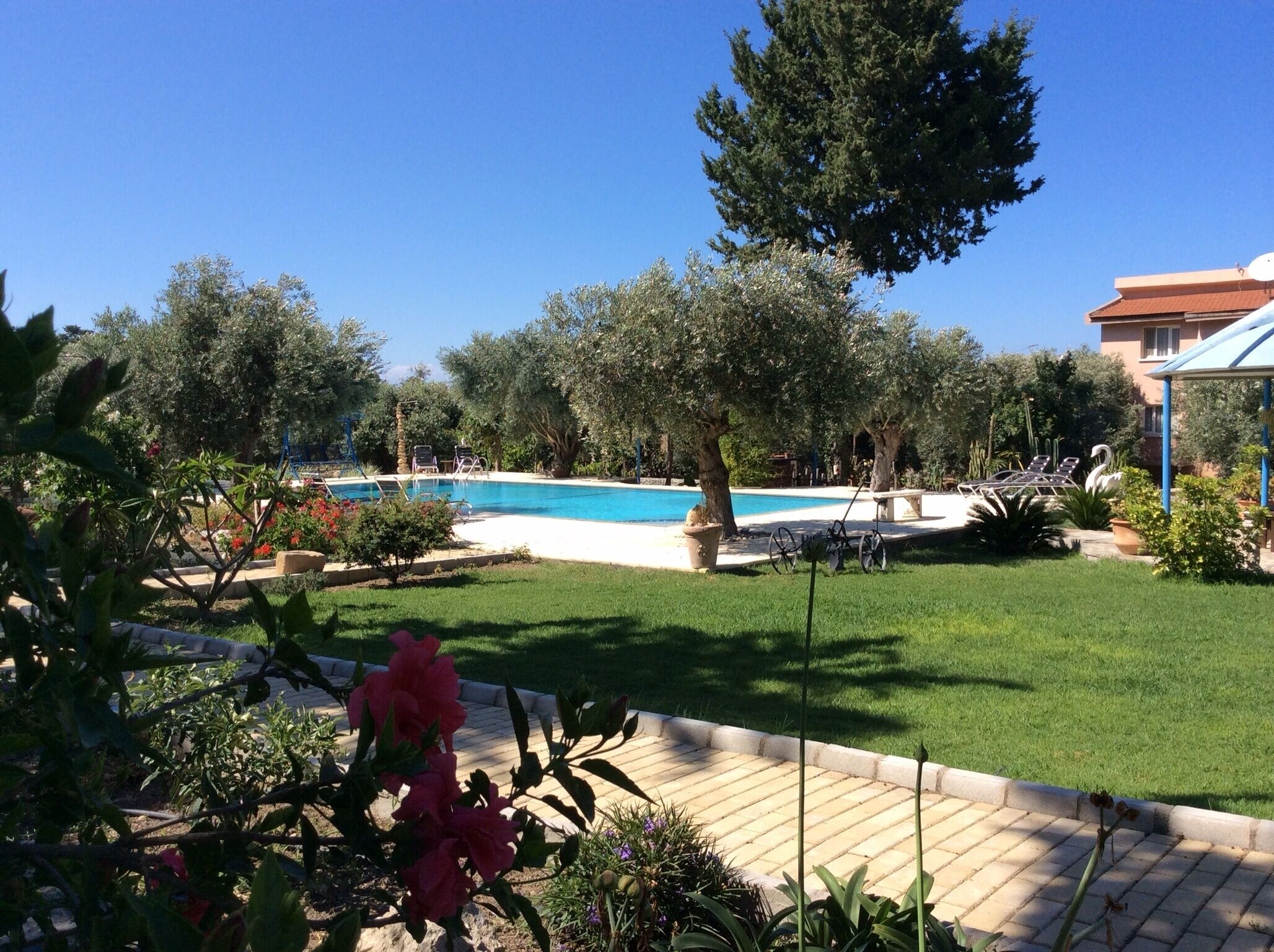 Piscine