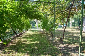 Property grounds - Apartment in villa cod. CITRA 009029-LT-0036 (Finale Ligure /Savona)