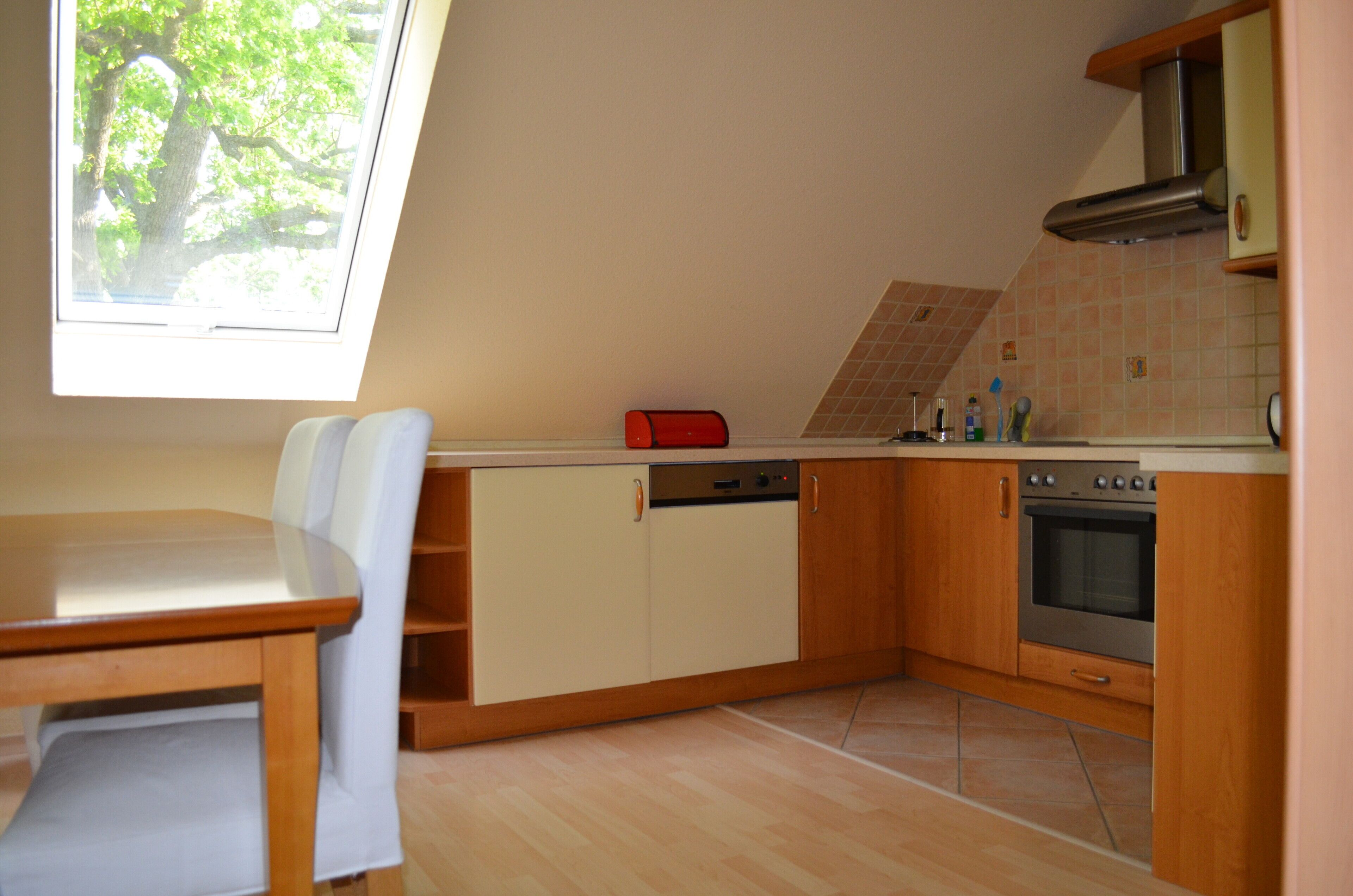 Kühlschrank, Ofen, Herdplatte, Geschirrspüler