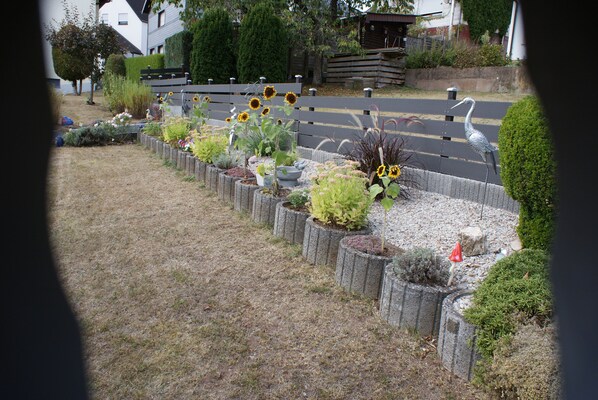 A garden with various plants and flowers, a wooden bench, and a road in the background.