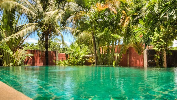 Una piscina azul cristalina rodeada de exuberante vegetación y palmeras.