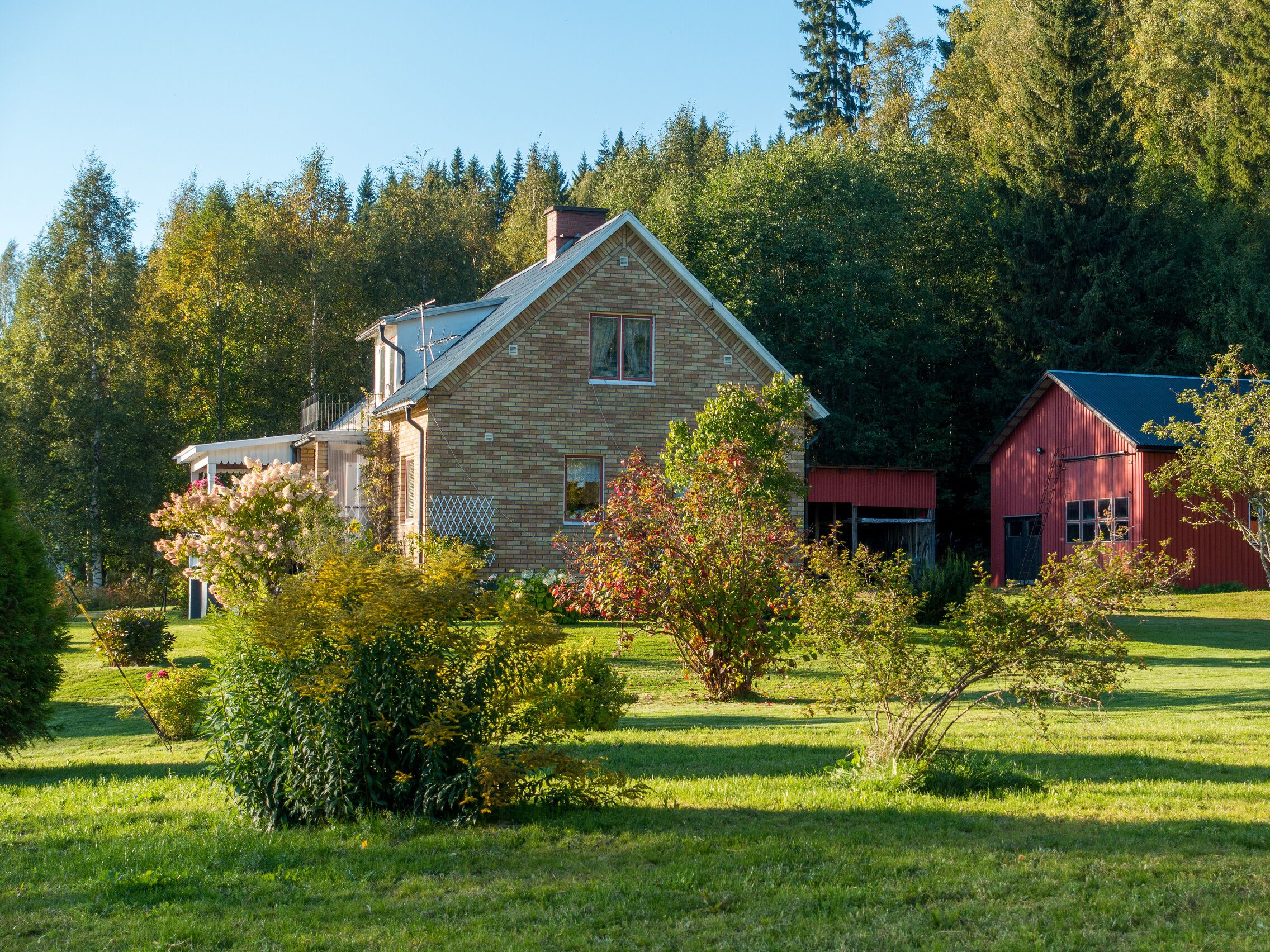 Exteriör
