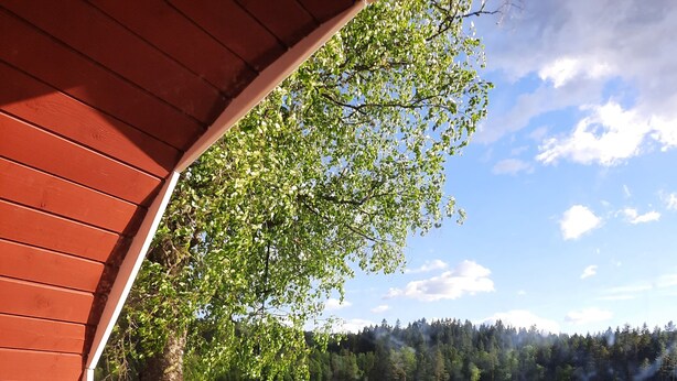 A wooden cabin with a view of a lake, surrounded by greenery and a clear sky.