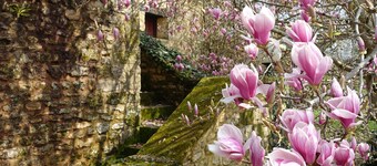 Beautifully renovated country house in fantastic location and a vast private pool!