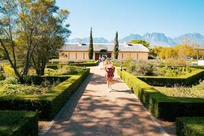 Property grounds - Contemporary 1 Bedroom Apartment in Gardens, with parking & WiFi (Kapstadt)