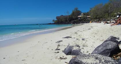 Centrally located and quiet rooftop apartment in Grand Baie / Pereybere