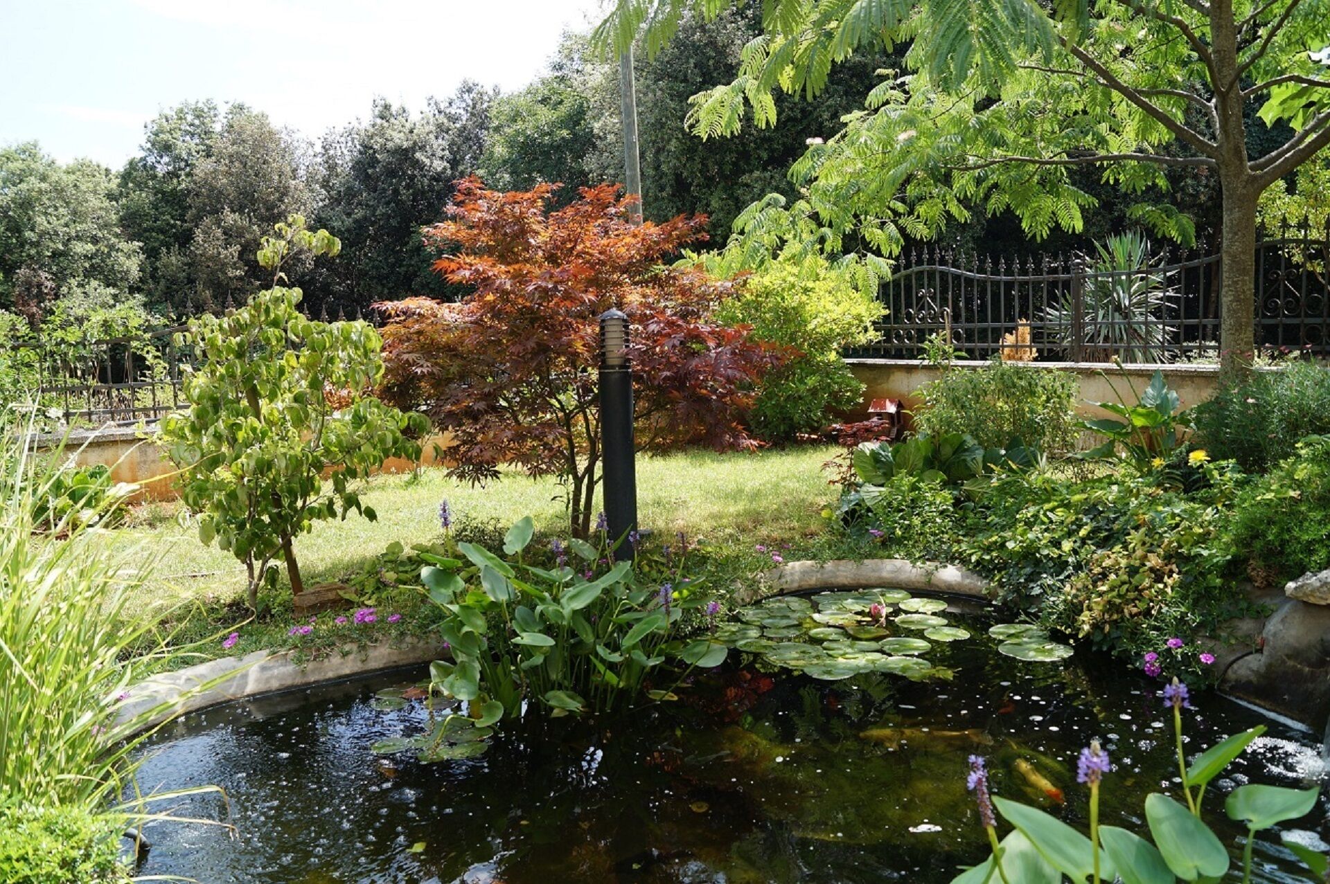 Een tuin met een vijver, diverse planten en een boom met rode bladeren.
