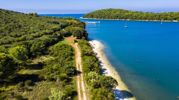 A coastal landscape with a dirt path leading to a beach, surrounded by dense greenery and a clear blue sea. - Ginkgo 3 - Holiday apartment for 3 people, close to the sea (Banjole)