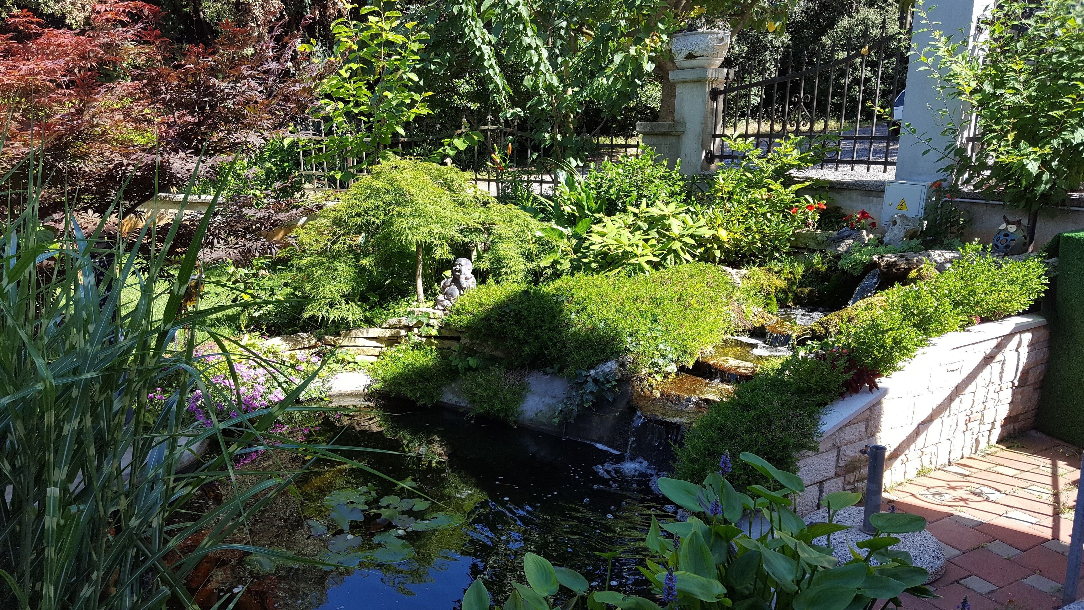 A garden with a small pond, various plants, and a statue.