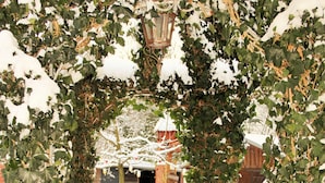 A snow-covered outdoor seating area with a metal table and chairs, surrounded by ivy-covered arches. - Mediterranean holiday house, Berlin Steglitz-Zehlendorf, 4 bedrooms, 11 persons (Berlin)