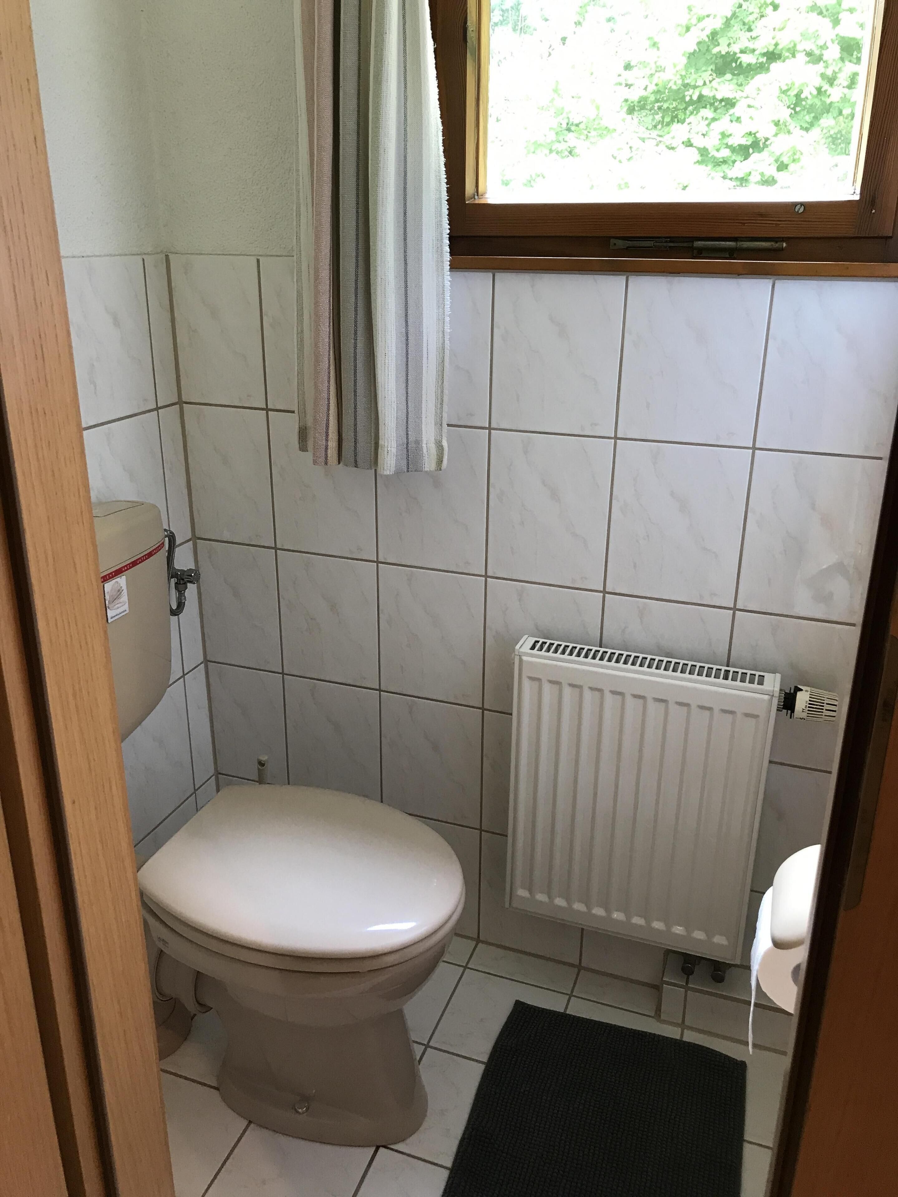 A small bathroom with a toilet, a radiator, and a window with curtains.