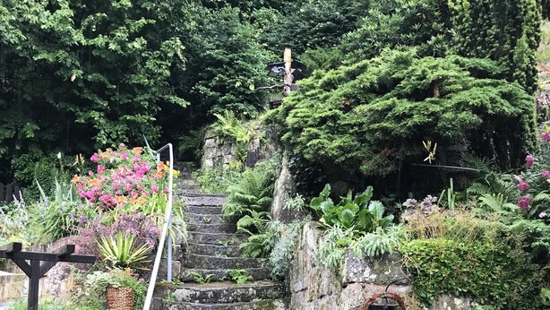 Una escalera de piedra rodeada de abundante vegetación y plantas en macetas.