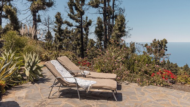 A patio with two lounge chairs, a small dog, and a variety of plants and flowers. - Modernly designed vacation home on a 40000 m² finca in a secluded location (Tenerife)