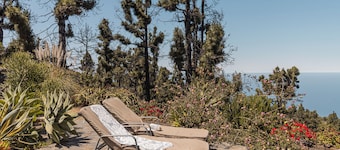 Modernly designed vacation home on a 40000 m² finca in a secluded location
