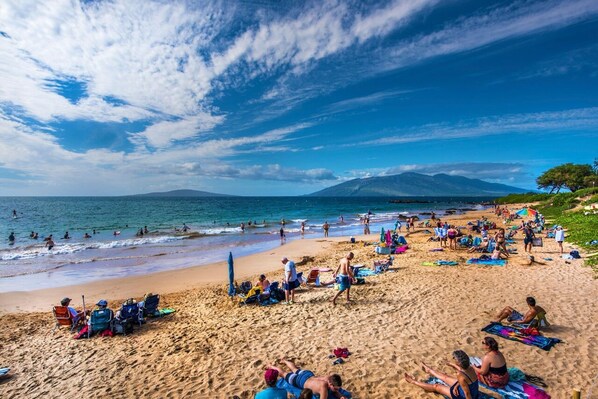 Sun-loungers, beach towels
