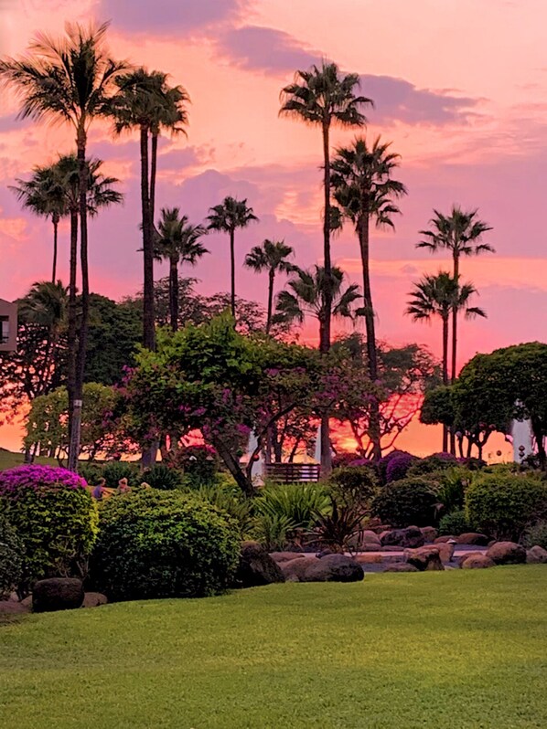 A landscaped garden with palm trees and a gazebo.
