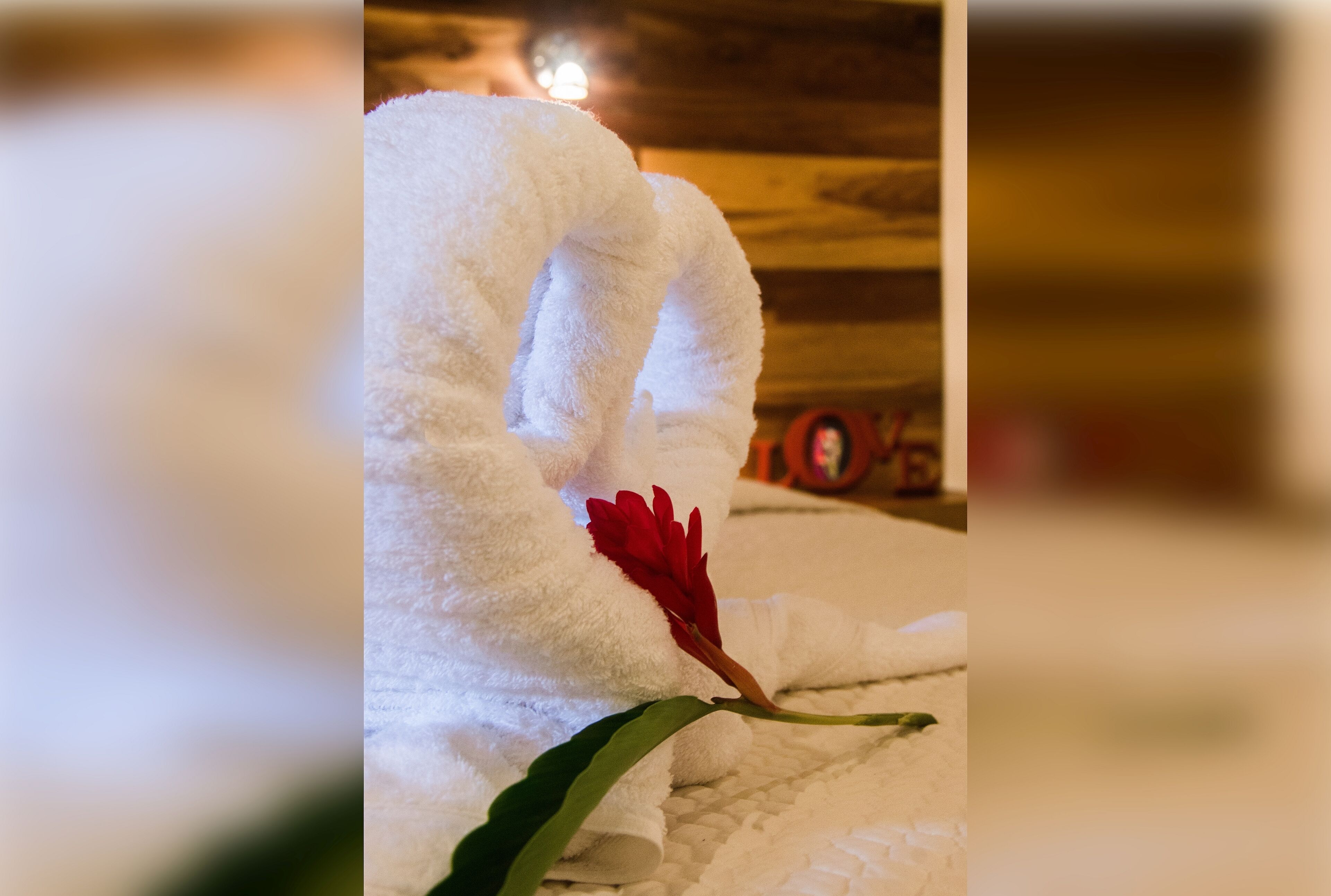 Une serviette blanche ornée d’une fleur rouge sur une surface texturée.