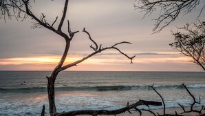 A beach scene with a tree in the foreground and the ocean in the background.