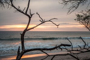 On the beach - Family Bungalow At Banana Beach. Private Bedroom, A/C, Wifi, Kitchenette (Santa Teresa)