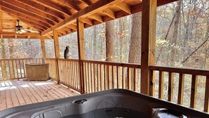 Outdoor spa tub - Seclusion, perfect location, escape the crowds, pet friendly (Sevierville)