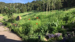 Un paysage rural avec un chemin de terre, des fleurs sauvages et des arbres.