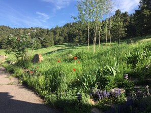 Terrain de l’hébergement 