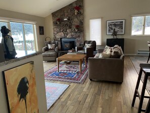 Smart TV, chimenea, reproductor de DVD y libros 