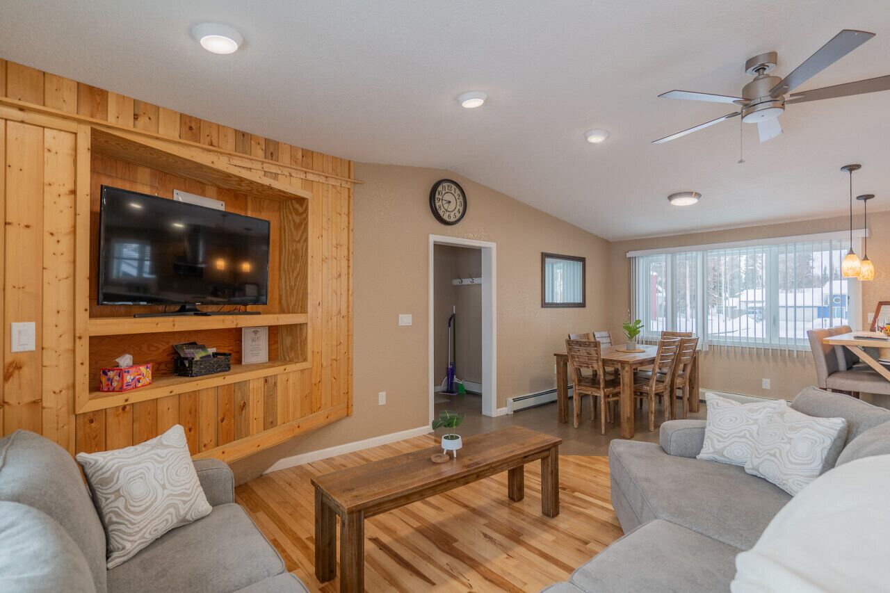 智能電視、書籍