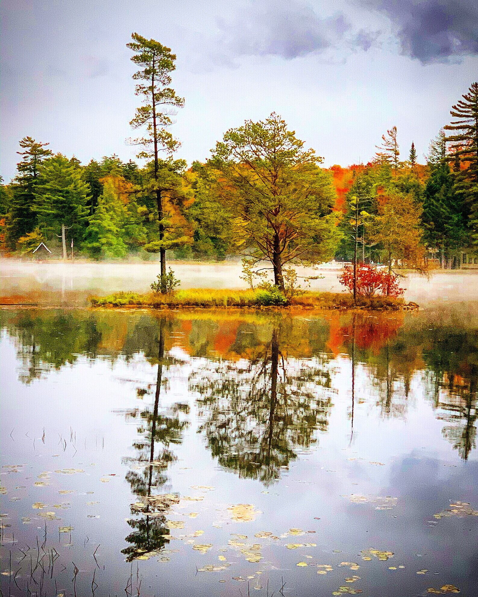 A calm lake with reflections of trees and a small cabin in the background.