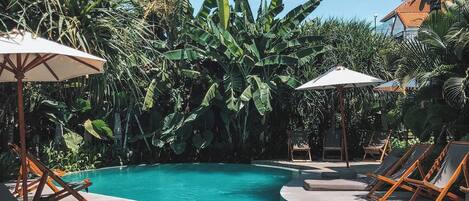 A pool area with lounge chairs and umbrellas, surrounded by tropical vegetation.