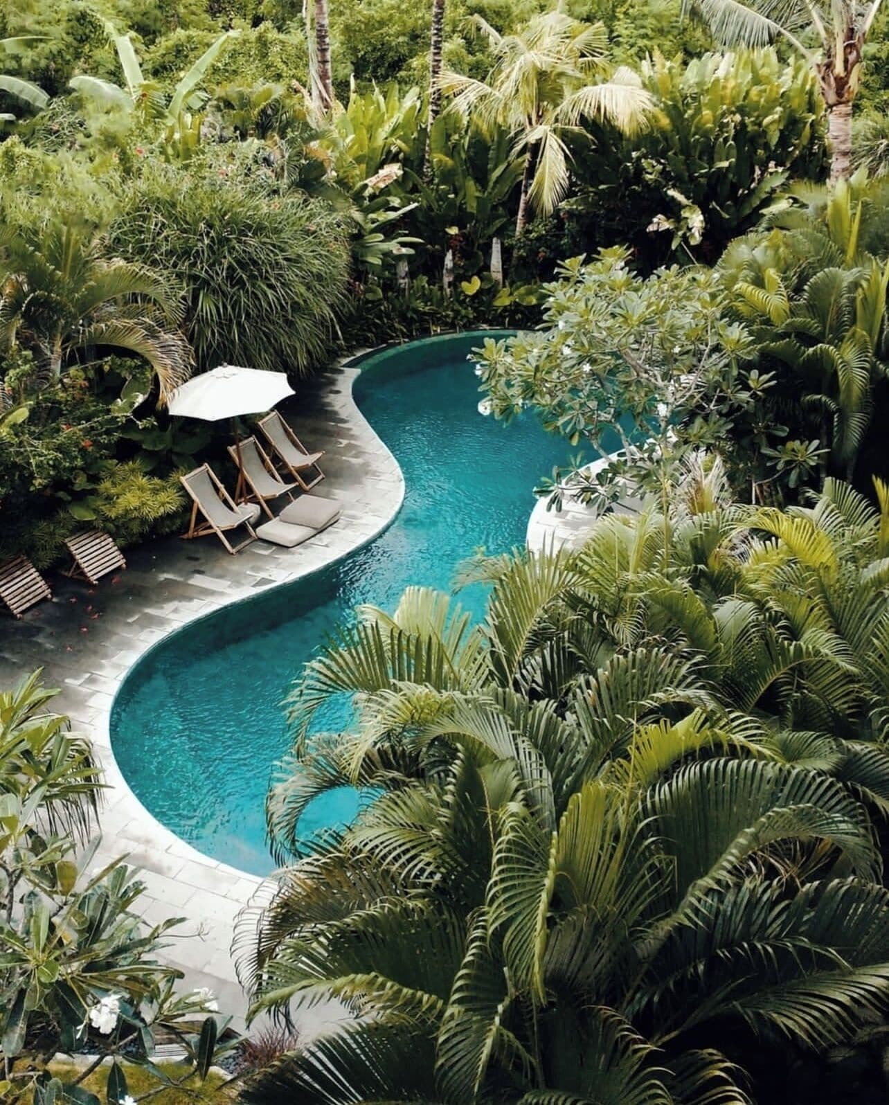A curved pool surrounded by lush tropical vegetation, with lounge chairs and a small umbrella.