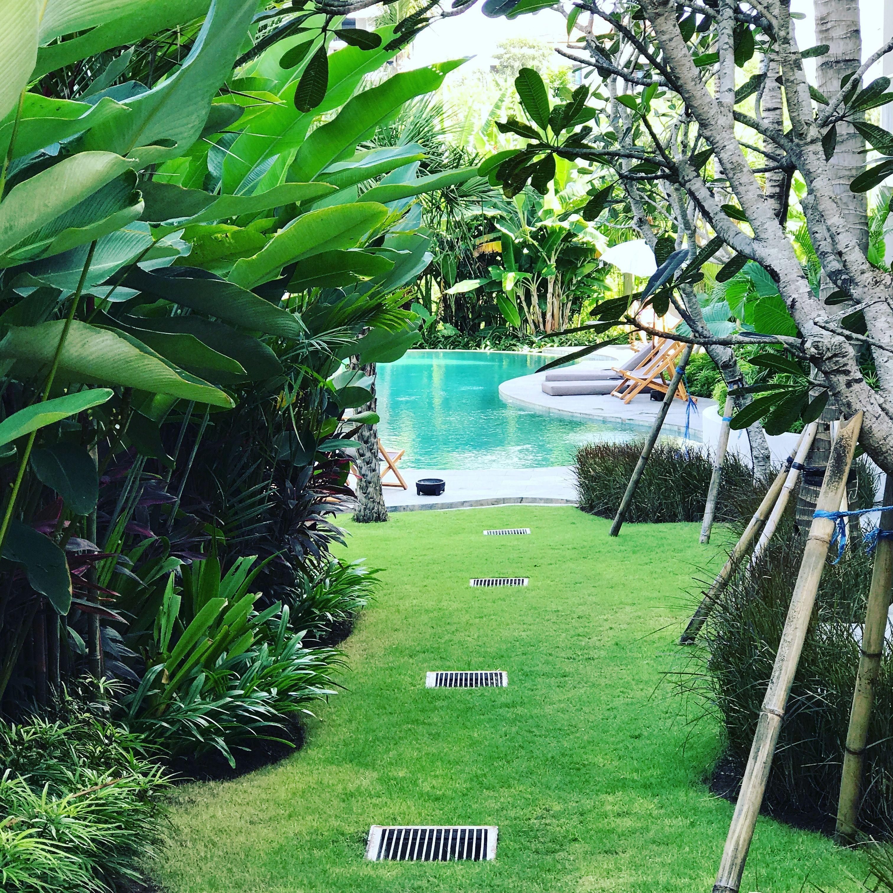A lush garden with a swimming pool, surrounded by dense foliage and a well-maintained lawn.