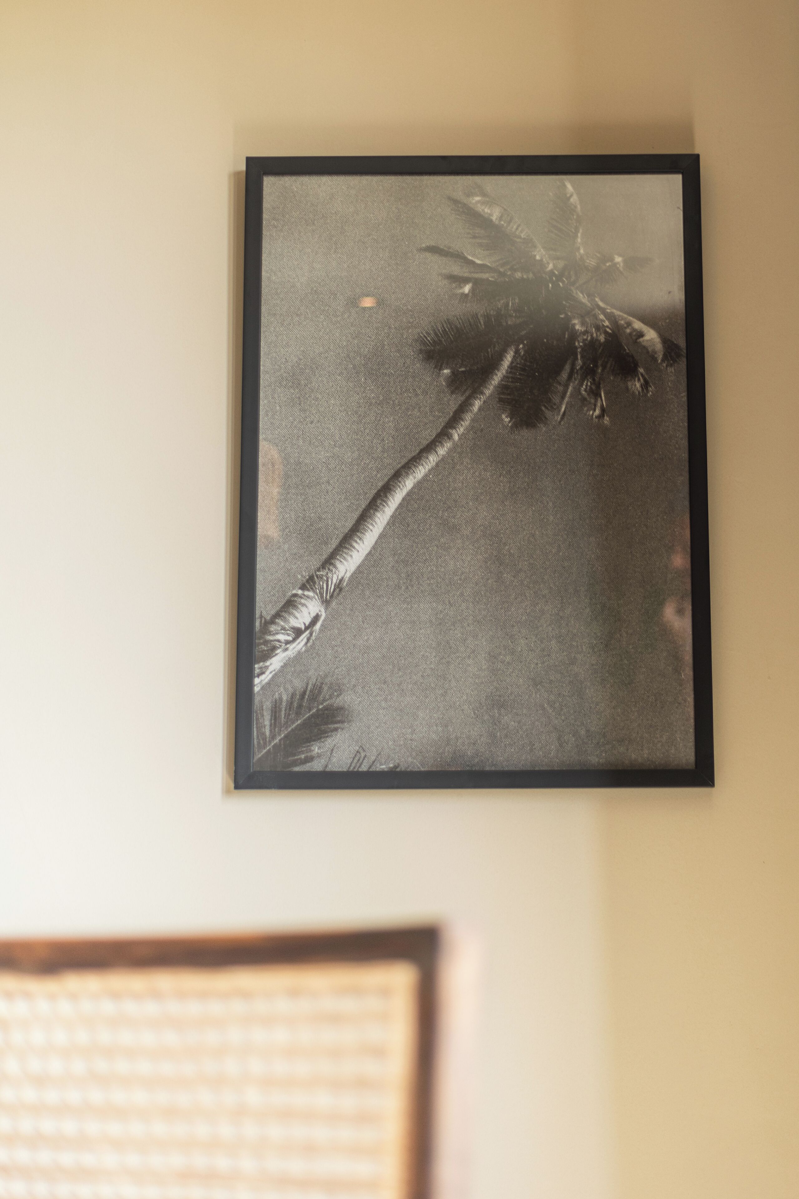 A framed black and white photograph of a palm tree on a wall.