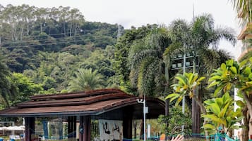 Una piscina al aire libre, sombrillas, sillones reclinables de piscina