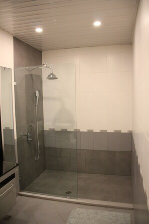 Combined shower/tub, hair dryer, bidet, towels