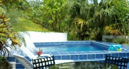 Casa 3 Palmas- Private Villa w/Pool,  
