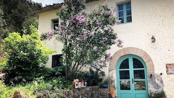 Details aan de buitenkant