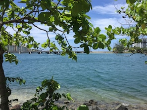A waterfront view with a bridge in the background.