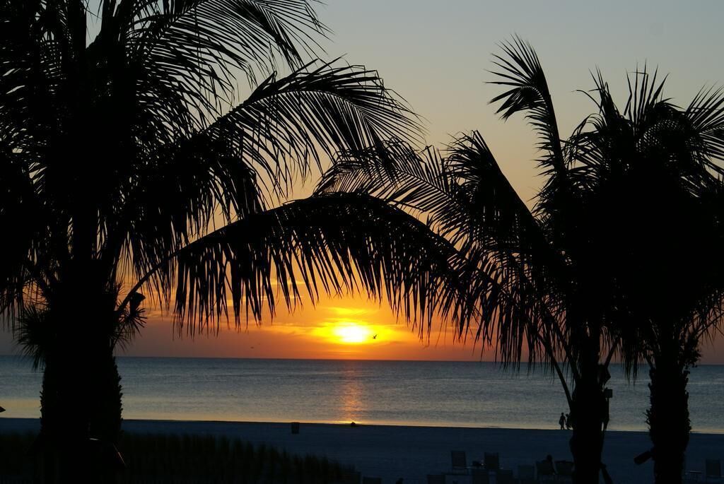 Un coucher de soleil sur une plage, avec des palmiers se découpant en silhouette sur le ciel.
