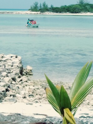 On the beach - Eco Friendly home (Sweetings Cay)