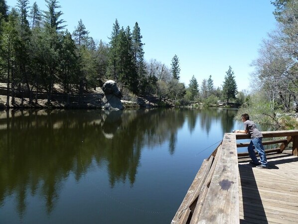 A wooden dock extending over calm water with trees in the background.