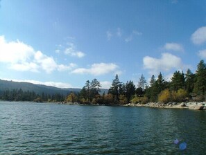 Unclassified image, 4 of 35, button