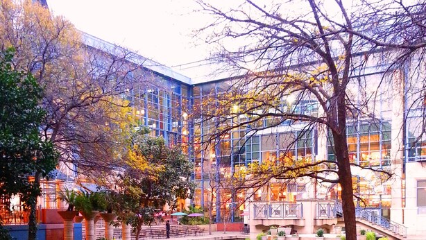 A courtyard with a reflective water feature, surrounded by lush greenery and modern buildings with large windows.