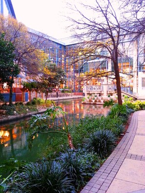 Un patio con una fuente acuática reflectante, rodeado de abundante vegetación y edificios modernos con grandes ventanales.