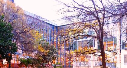 Family Fun! Kid Friendly! Patio, BBQ, Next Door to Park, 1 mile to Sea World!