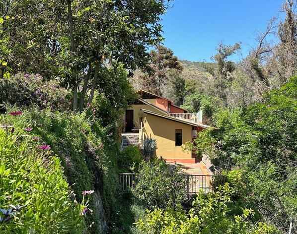 Une maison isolée, entourée d’une végétation luxuriante et de collines.