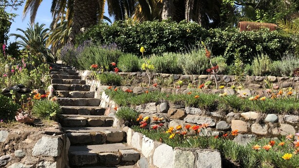 Una escalera de piedra rodeada de diversas flores y plantas coloridas.