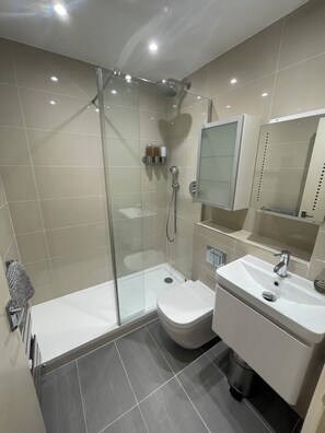 Combined shower/bathtub, hair dryer, towels, shampoo