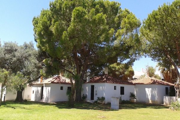 Outside View of The House. It is the one on the middle, just bellow the Tree